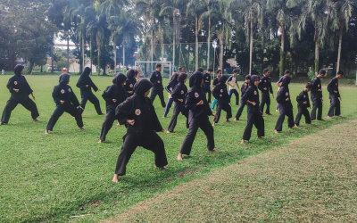 Pencak Silat (Silambawiqri)